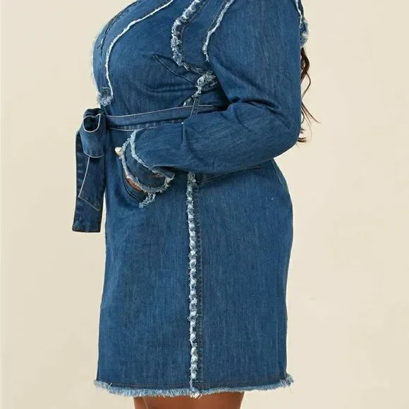 L'Atiste Plus Size Dress Frayed Trim Denim - Picture 5 of 11